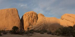 JoshuaTreeHike1