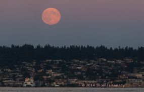 Supermoon-Edmonds-Ferry_500px