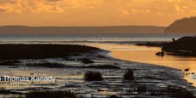 SkagitValley_FirIsland_LowTideSunset1