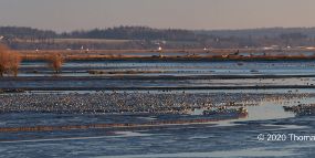 Skagit_Panorama-1crop