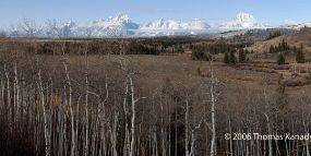 TetonBirchPanorama2006